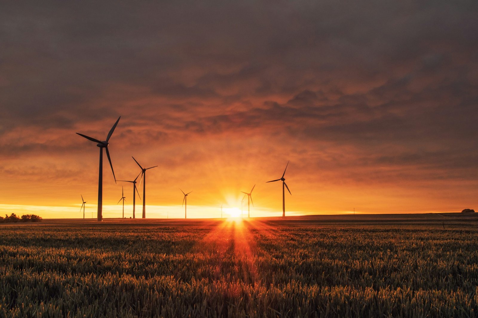 Green Investing: The Growing Appeal of Sustainable Investments